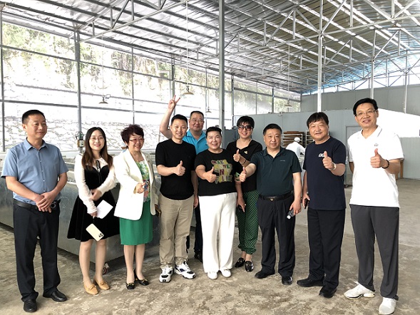 考察00.jpg 考察00.jpg